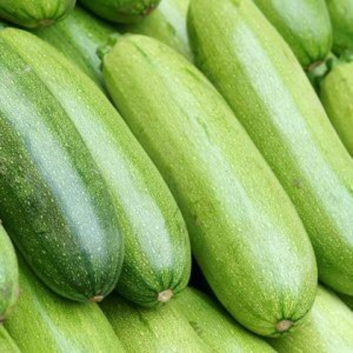 صورة كوسة